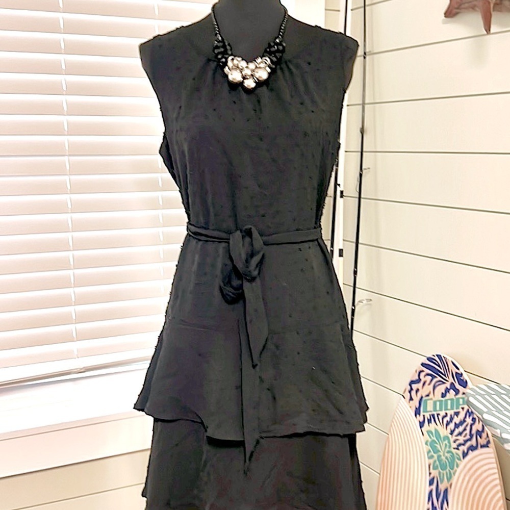 Sugar Magnolia,Noir Dotted-Swiss, Layered Dress,Wear Belted or Not, EUC,